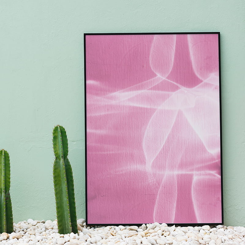 Cactus and Frame