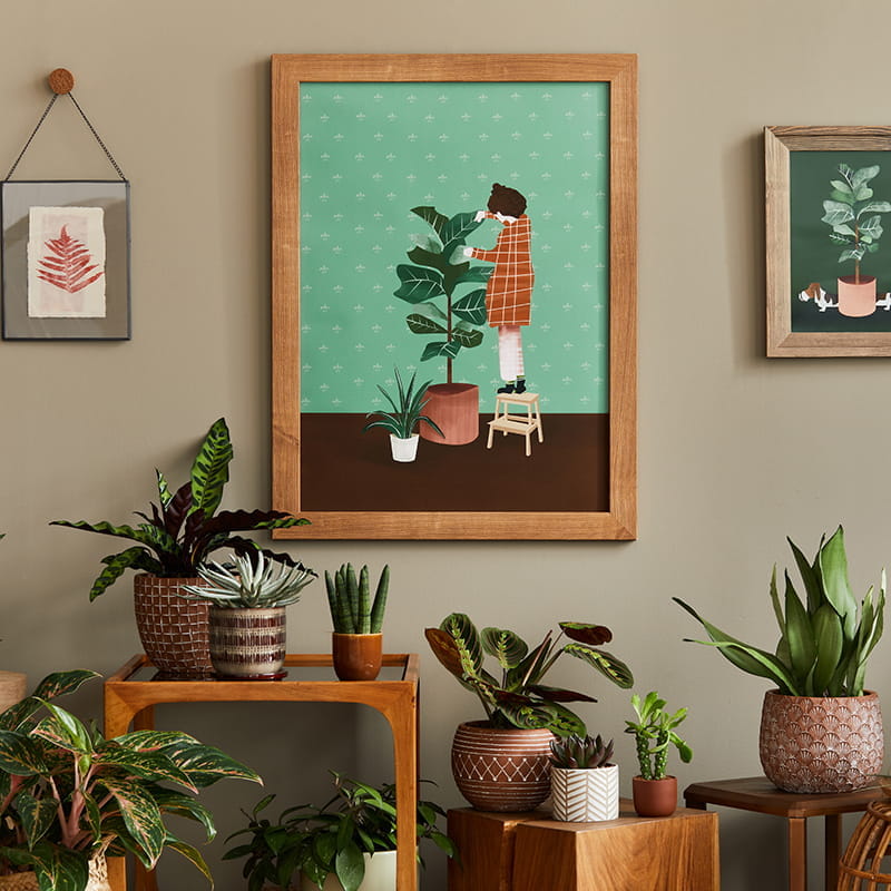 Stylish botany composition of home garden interior